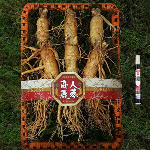 선물용세트 특대 1채(6-7뿌리)750g