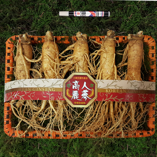 선물용세트 왕대 1채(4-5뿌리)750g