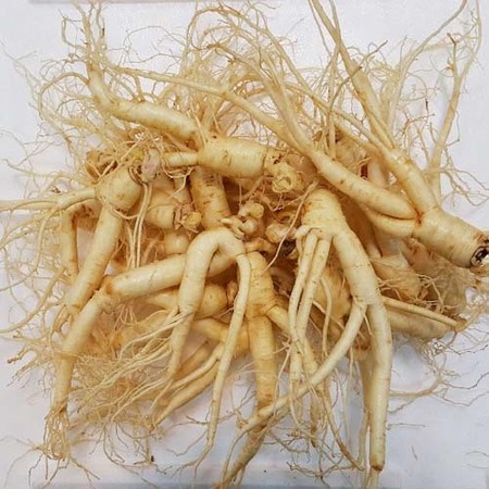 ＂재구매1위＂세척한오쿠용작은파삼 (20~30뿌리)700g