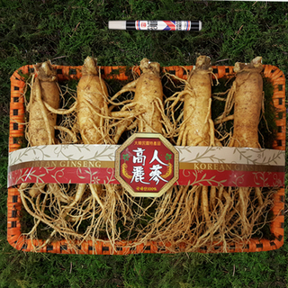 선물용세트 왕대 1채(4-5뿌리)750g