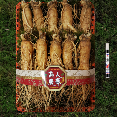 선물용세트 왕대 2채 (8-10뿌리) 1.500g