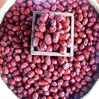 대추 (별초) 1kg