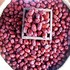 대추 (별초) 1kg