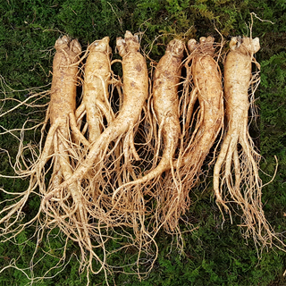 원수삼 특대(6~7뿌리)750g